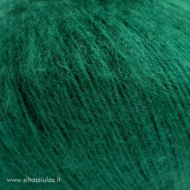 Brushed Armonia 1420 dark green 1