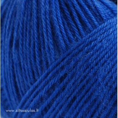 Brushed Armonia 6500 rugiagėlių mėlyna 1