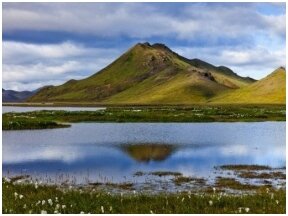 Islandiška vilna ir jos šiluma
